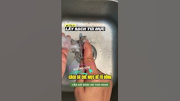 Hướng dẫn cách sơ chế mực để tủ đông vẫn giữ được độ tươi ngon