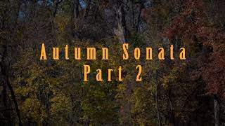 Autumn Sonata - Part 2