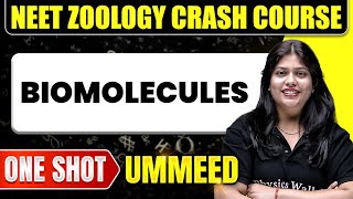 BIOMOLECULES in 1 Shot: All Concepts, Tricks & PYQs | NEET Crash Course | Ummeed