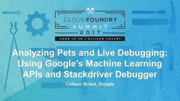 Analyzing Pets and Live Debugging: Using Google