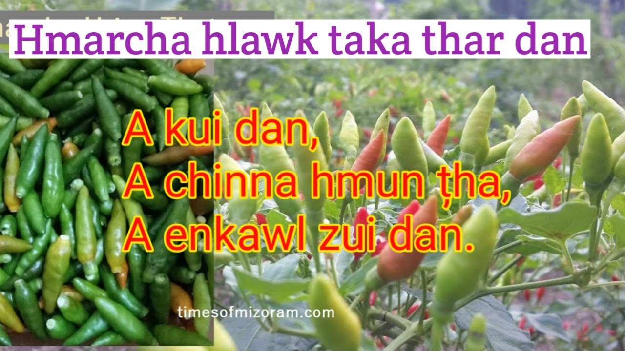 Hmarcha hlawk taka thar dan: A chin dan leh enkawl zui dan.