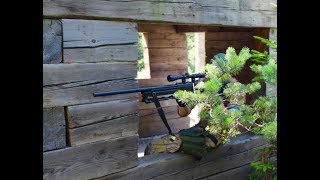 Asvb In Österreichstartschuss