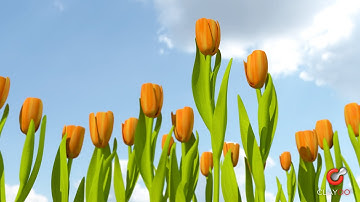 Clayoo - Tulip (Speed Modeling)