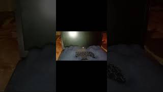 POV: TYPING ASMR