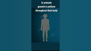 #Tissues Class 9 | Meristematic tissues | cbse 9  Biology | chapter 6| NCERT  | Gradebooster #shorts