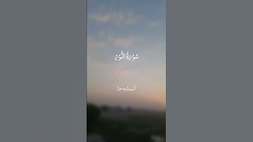 Surah An-Noor Ayat 56-57 Urdu Translation | سورة النور آیات 56،57 اردو ترجمہ  #islamicvideo