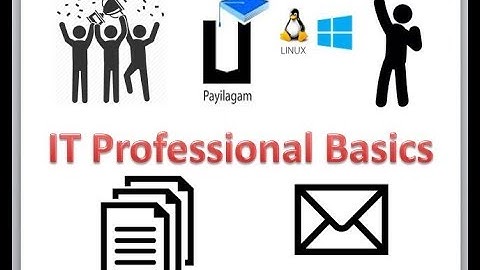 IT Professional Basics - Payilagam
