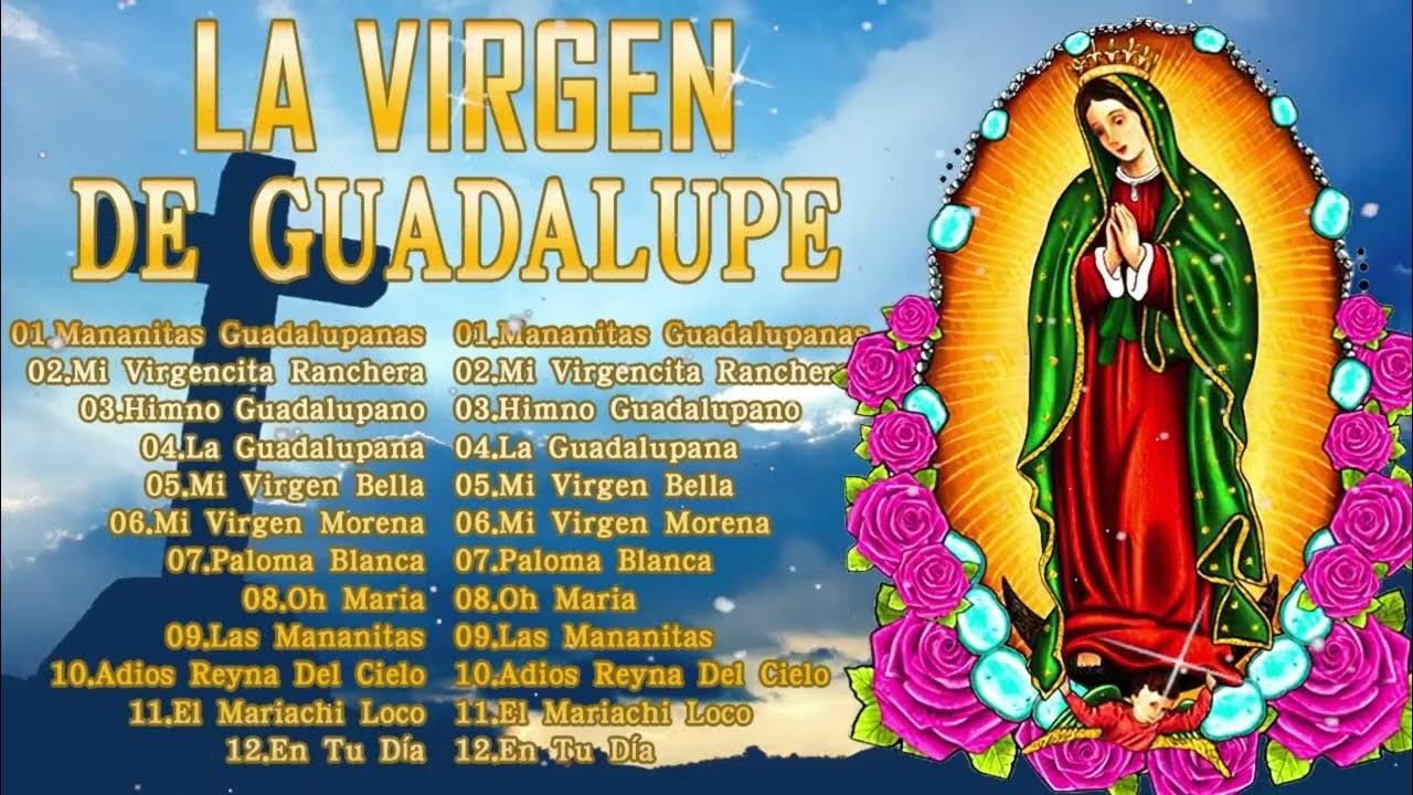 45 Cantos A La Virgen De Guadalupe La Virgen De Guadalupe 2024 YouTube 45 Cantos A La Virgen De Guadalupe La Virgen De Guadalupe 2024 YouTube