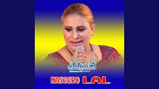 Bhabhi Chan Nalo Sohni