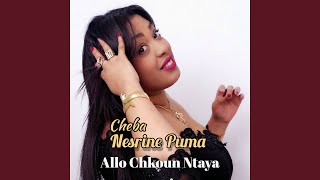 Allo Chkoun Ntaya