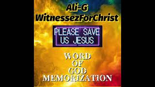During The Storm By Ali G Witnessez For Christ