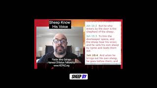 Sheep hear his voice