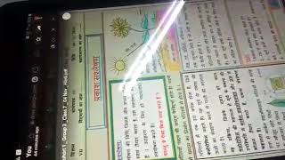 photosynthesis worksheet no 10