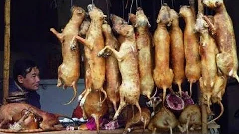 O que as pessoas comem na China?