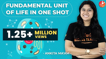 Fundamental Unit of Life in 1 Shot | CBSE Class 9 Science Chapter 5 Biology | Vedantu 9 & 10 Hindi
