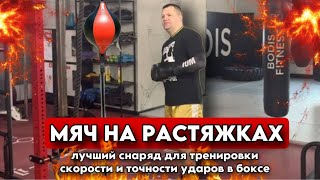 Мяч на растяжках - лучший снаряд для тренировки скорости и точности ударов в боксе