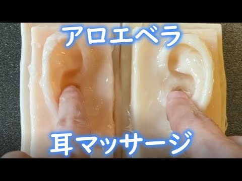 【ASMR】見た目も涼し気に『アロエベラ』を使って耳マッサージ?こんにゃくパフの音もお楽しみください♪【ASMR 癒しのしずく】