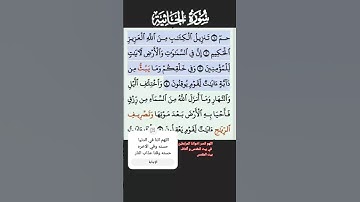 سورة الجاثية الاية 1-4 فارس عباد