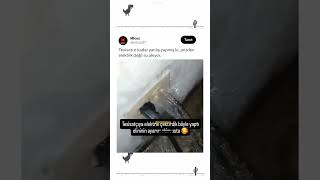 Şelale Yaptım Gelen Gelsin 😂⛲