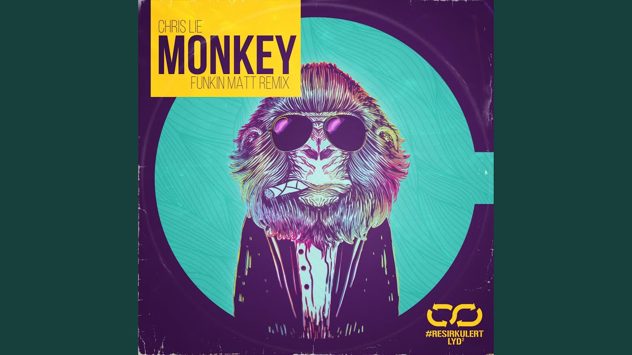 Monkey (Funkin Matt Remix)