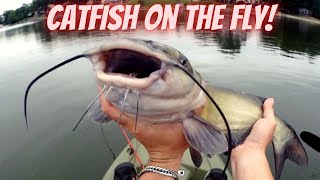 Fly Fishing for Channel Catfish – Fishing Prairie and Shield