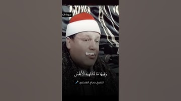 الشيخ حجاج الهنداوي سورة الزخرف_جواب عالمي