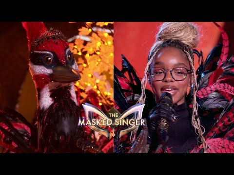 The Masked Singer
