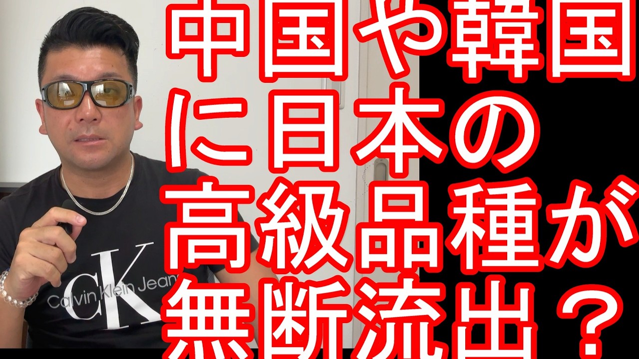 【韓国や中国に?】愛媛産の高級かんきつ新品種「紅プリンセス(品種名・愛媛果試第48号)」が中国に流出か?大手通販サイトで販売-韓国にもシャインマスカットやイチゴの日本品種が無許可で持ち込まれ・