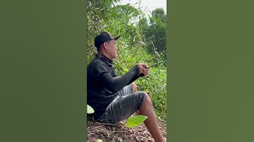 Báo Cá Bằng Mồi Mềm Nff và Lưỡi Độ #chitoanfishing #fishing #cauca #caucagiaitri #shorts