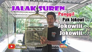 JALAK SUREN PANGGIL PAK JOKOWI  Jokowii.. Jokowii...