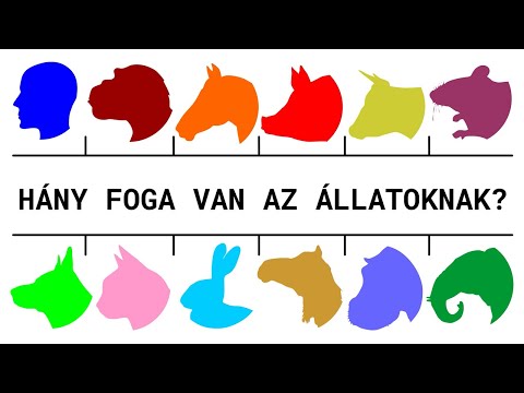 Videó: Hány Foga Van A Macskáknak?