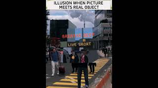 ILLUSION WHEN PICTURE MEETS REAL OBJECT