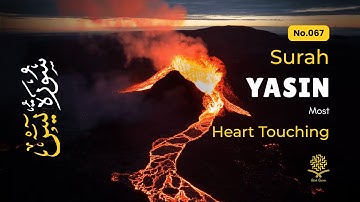 Calming Surah Yaseen for Insomnia Relief, Stress, Mental Calm ✦ Quran Lofi Vibes ✦ سورة يس