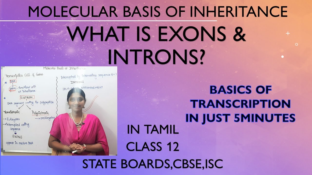 DO YOU KNOW THE DIFFERENCE BETWEEN INTRONS & EXONS ?| IN TAMIL ...