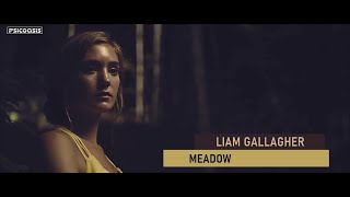 Liam Gallagher - Meadow (Video)