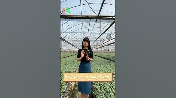 Hướng dẫn ghép cây dùng kẹp ghép cây Tháp Xanh