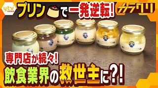 なぜ日本人はプリン🍮が大好き？　専門店が続々…コロナ禍の救世主！？