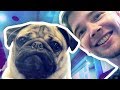 MEETING THE WORLD'S MOST FAMOUS PUG!!!