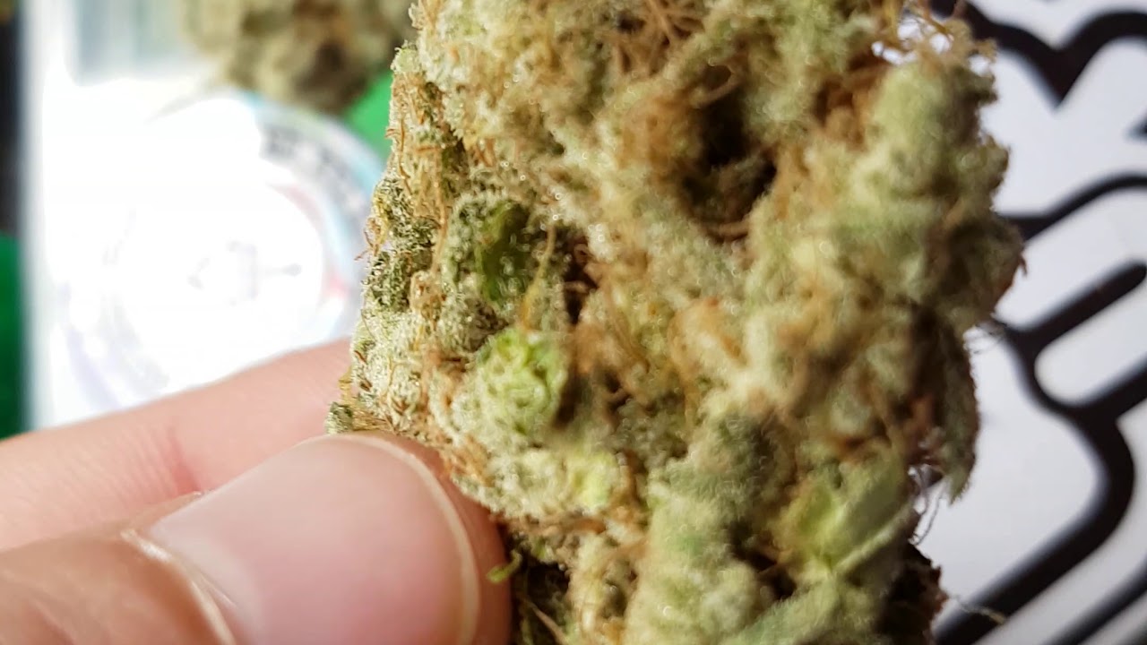 Skull Cap by Brumpacks 💀🧢