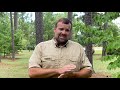 Why Hire an Arborist? | Ask the Arborist