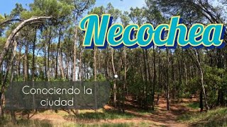 👉💣Que me Parecio la Ciudad de Necochea Y SU COSTA!! ↪ultima parte!