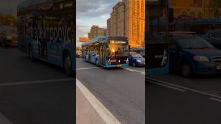 Автобус ЛИАЗ-6213.65,маршрут е29,ЛИАЗ-6213.65,маршрут 260,Электробус КАМАЗ-6282,маршрут Т34