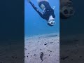 This quicksand is DEEP! #freediving