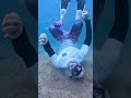 This quicksand is DEEP! #freediving
