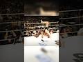Fedor Emelianenko vs Kevin Randleman (by Bruno Hrvman)