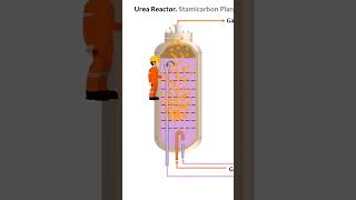 Urea reactor. Training. Fertilizer Academy &amp; UreaKnowHow