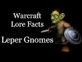 Warcraft Lore Facts - The Leper Gnomes