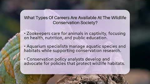 What Types Of Careers Are Available At The Wildlife Conservation Society? - Ecosystem Essentials