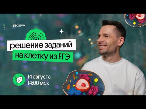 ПРАКТИКА заданий на клетку из ЕГЭ по биологии - Как решать?