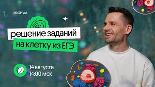 ПРАКТИКА заданий на клетку из ЕГЭ по биологии - Как решать?